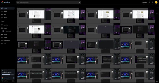 Chronicle timeline in Immich